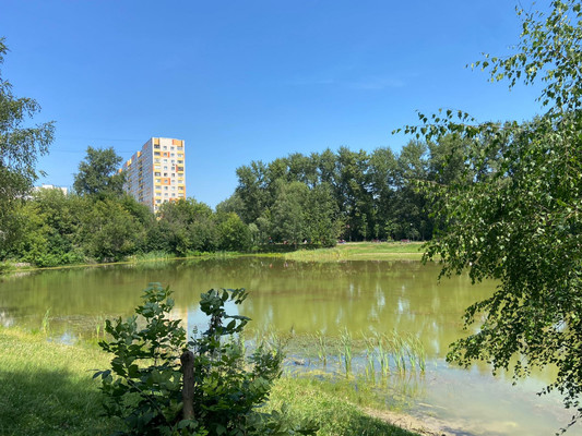 Купить 3-комнатную квартиру