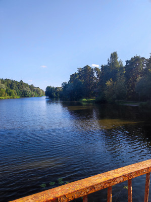 Купить  дом