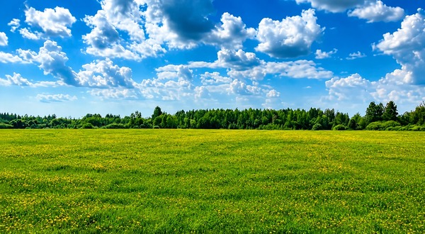 Купить  участок