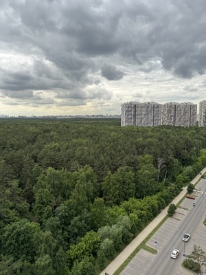 Купить 3-комнатную квартиру