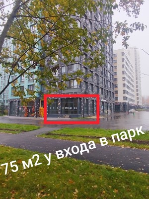 Снять  помещение свободного назначения